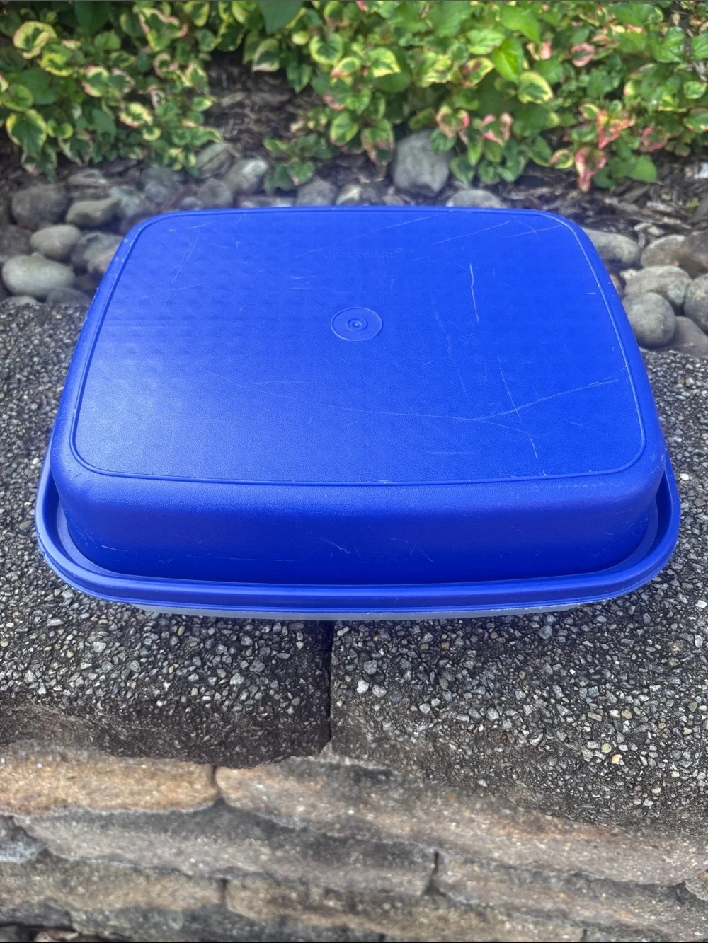 Vintage Tupperware Season-Serve Blue Marinating Container. AKA “The Marinator”